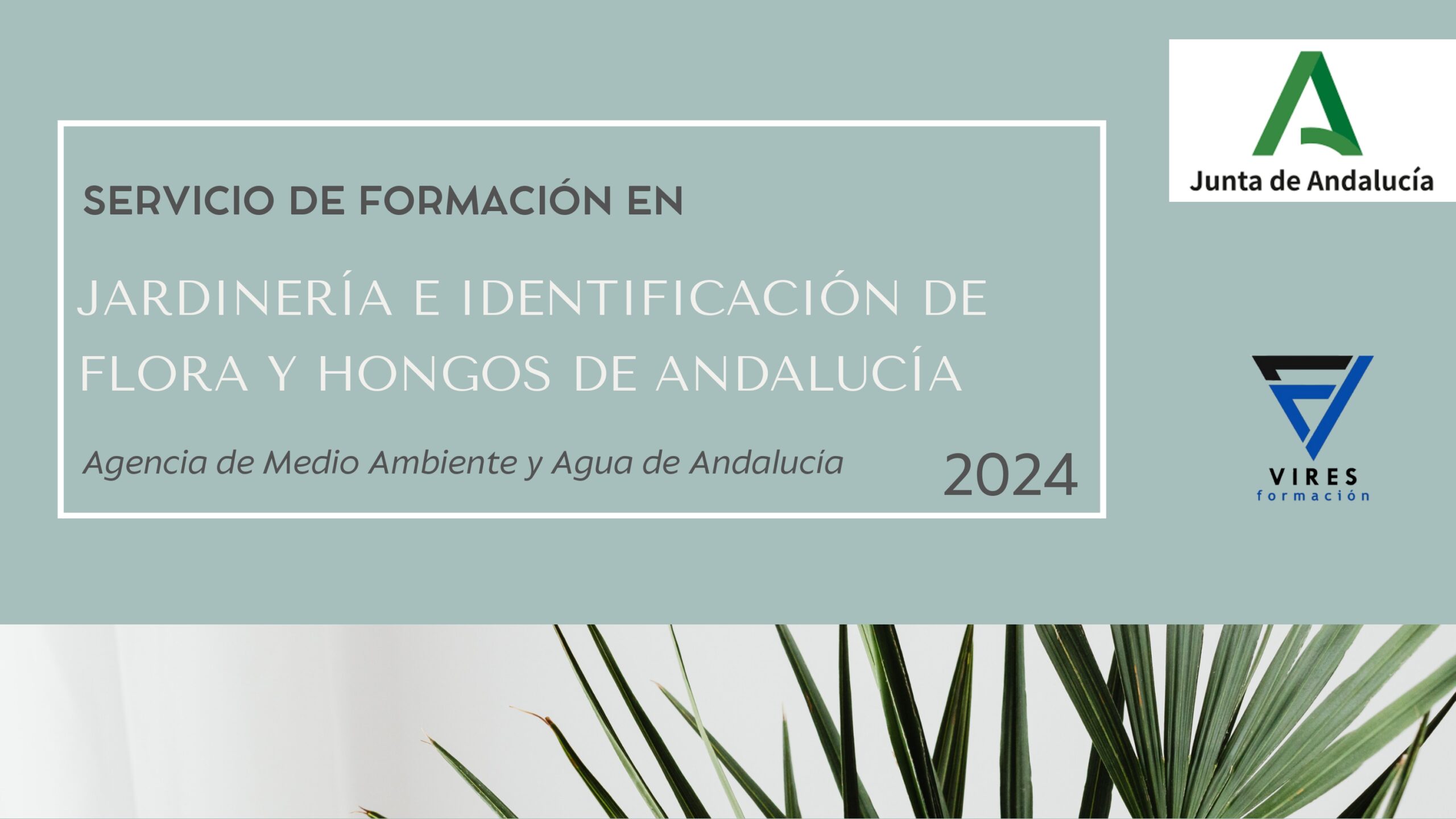 FORMACIÓN EN JARDINERÍA E IDENTIFICACIÓN DE FLORA Y HONGOS DE ANDALUCÍA